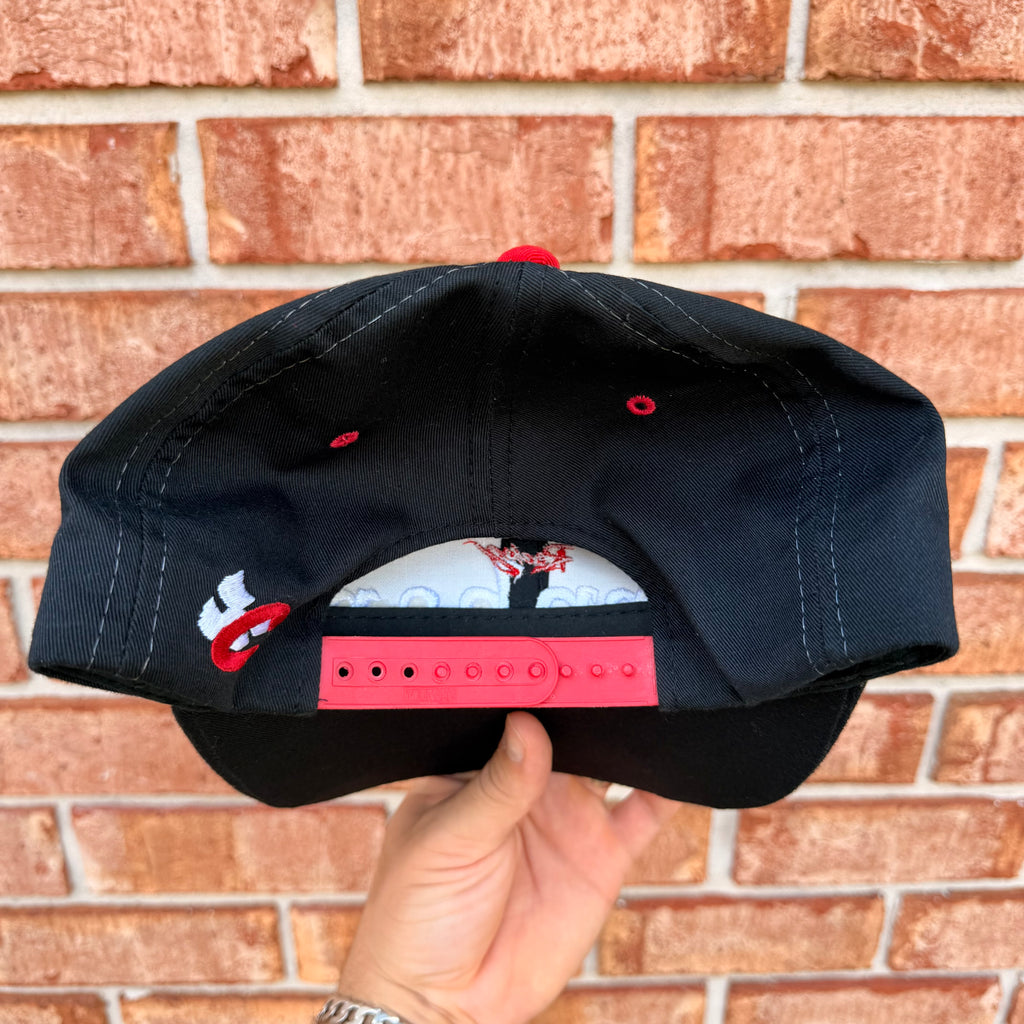 Dale Earnhardt Nascar Hat