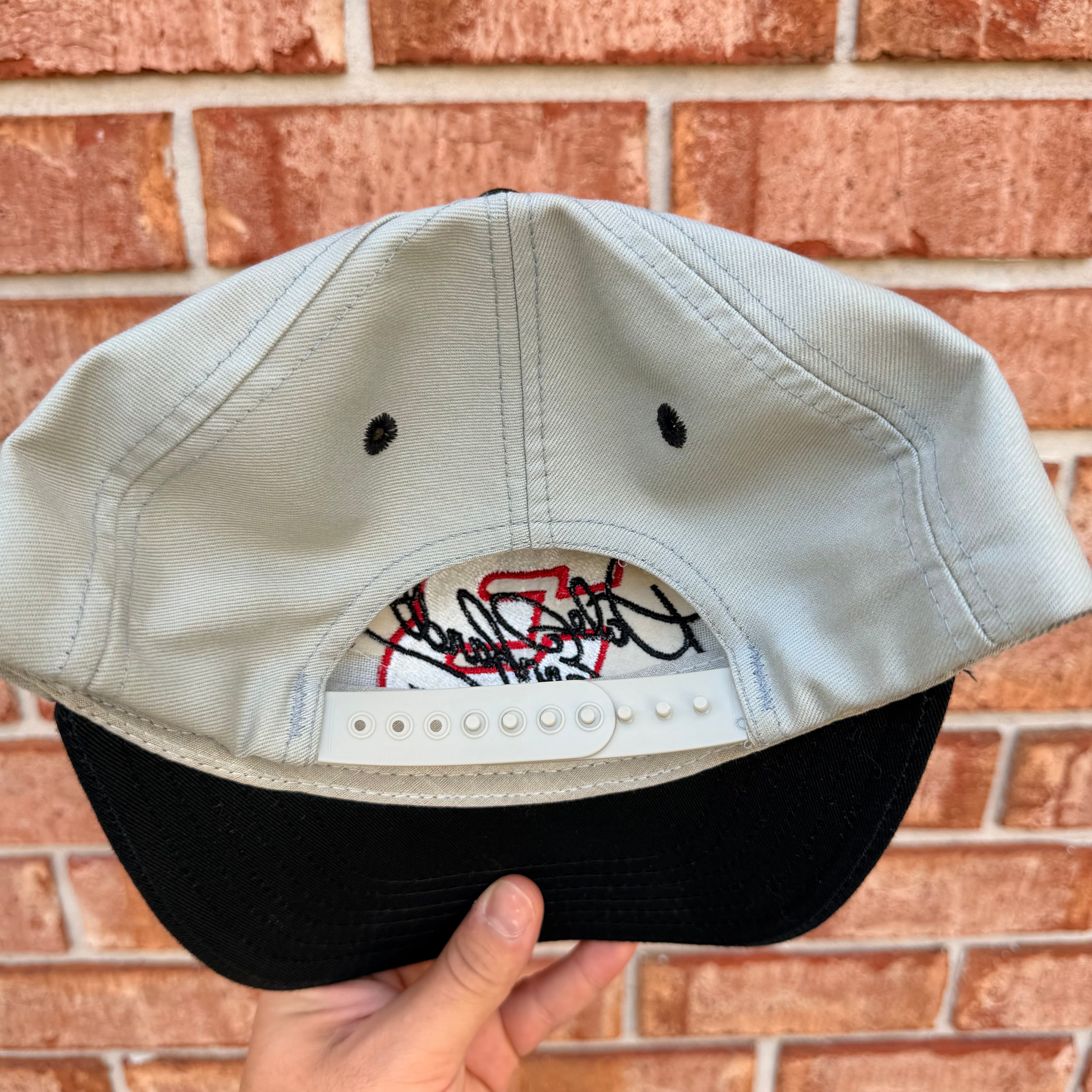 Dale Earnhardt Nascar Hat