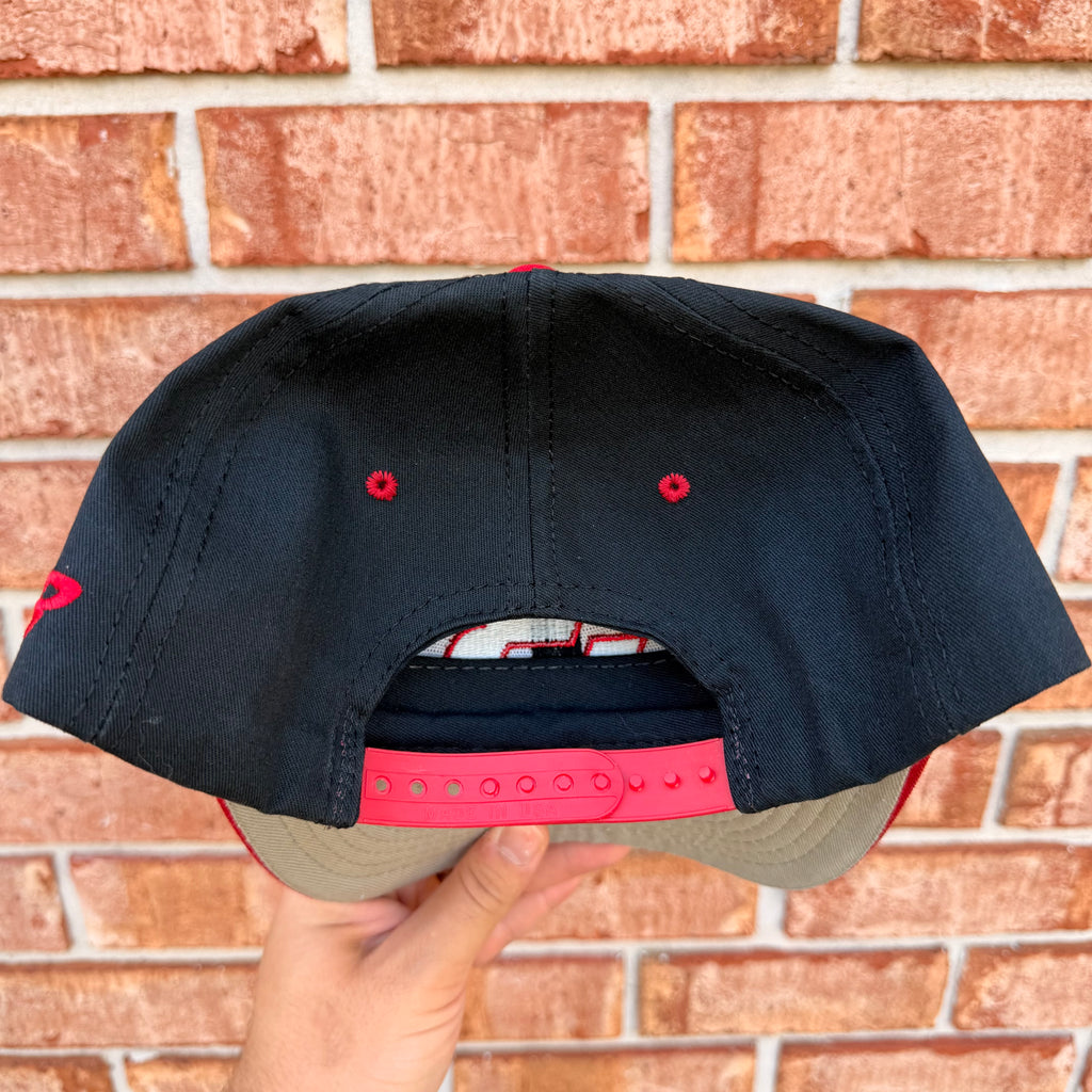 Dale Earnhardt RCR Nascar Hat