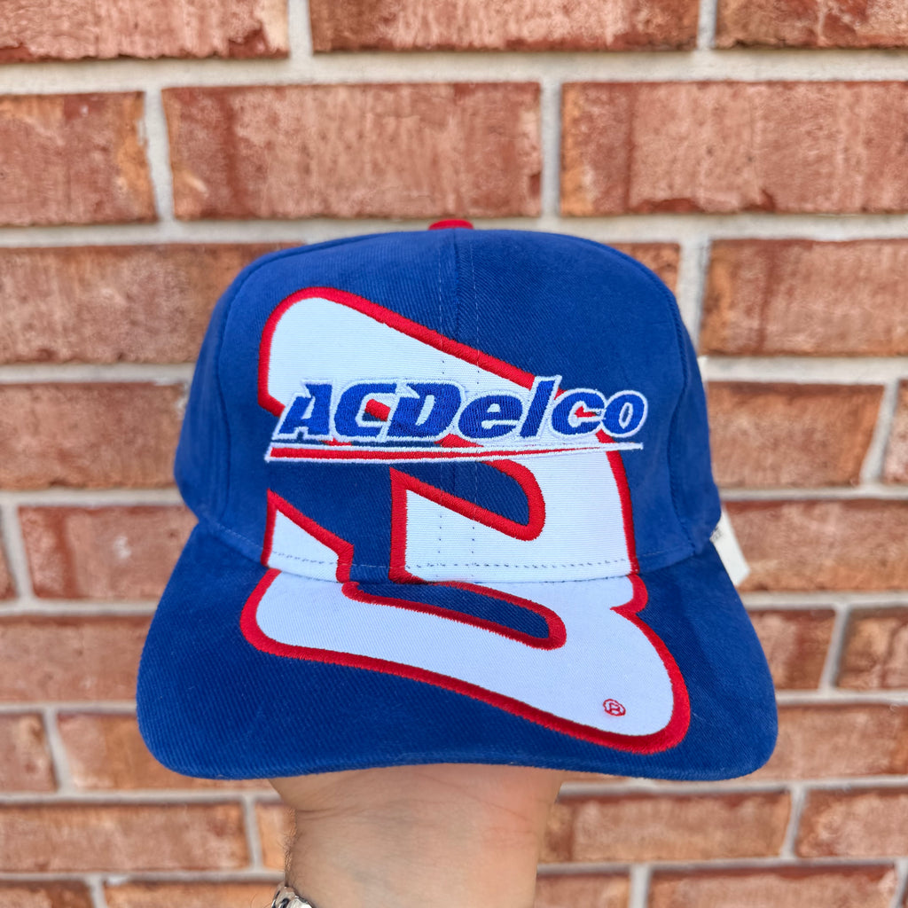 Dale Earnhardt Jr Nascar Hat