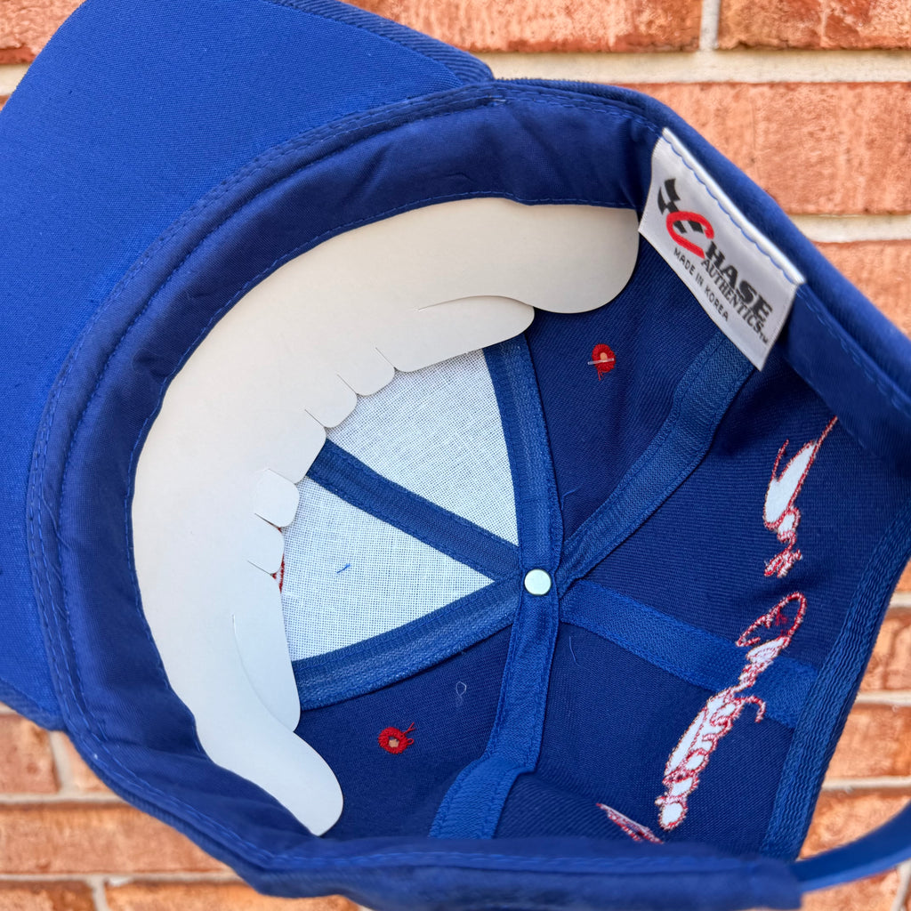 Dale Earnhardt Jr Nascar Hat