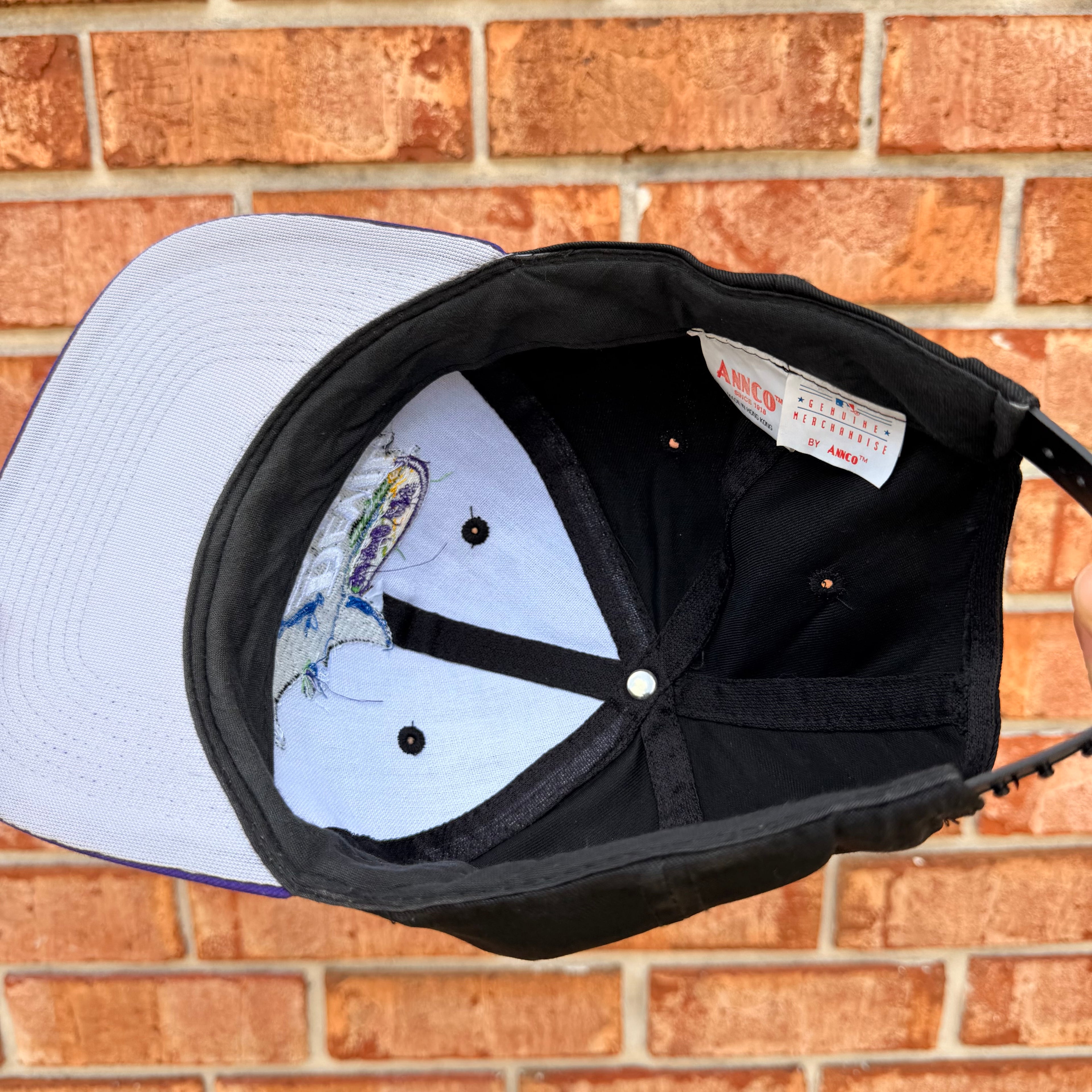 Tampa Bay Devil Ray Hat