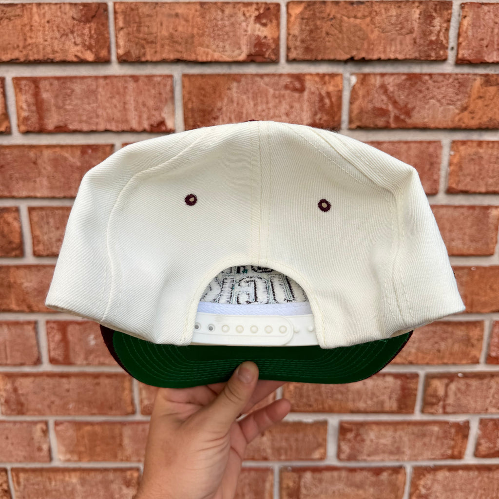 Mighty Ducks Sports Specialties Hat