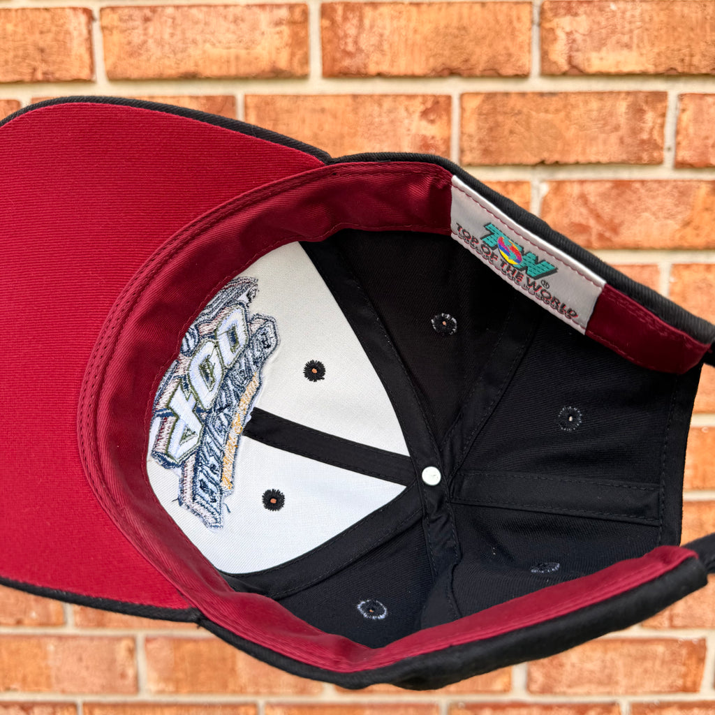 Limited Edition Brickyard 400 Nascar Hat