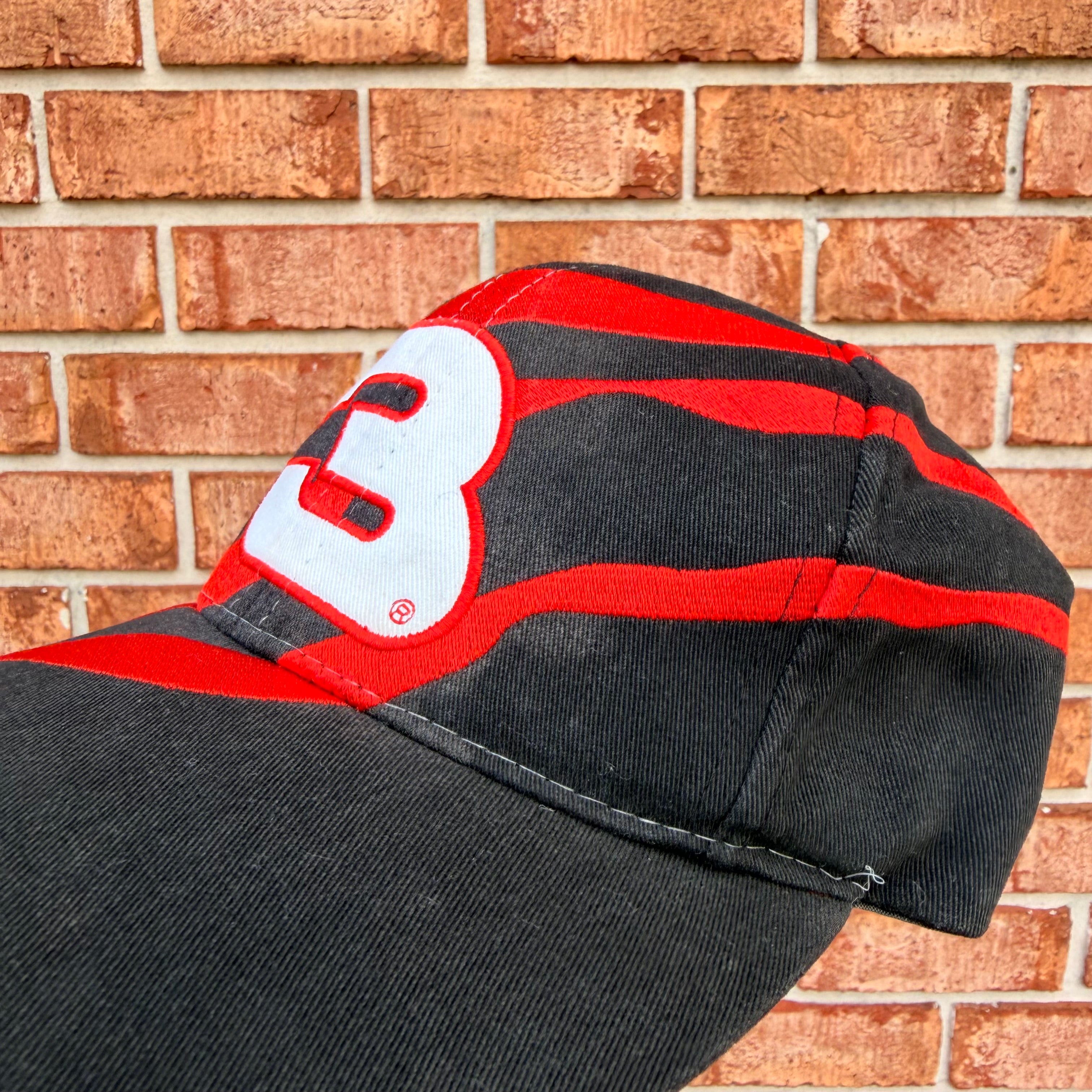 Dale Earnhardt Brush Nascar Hat