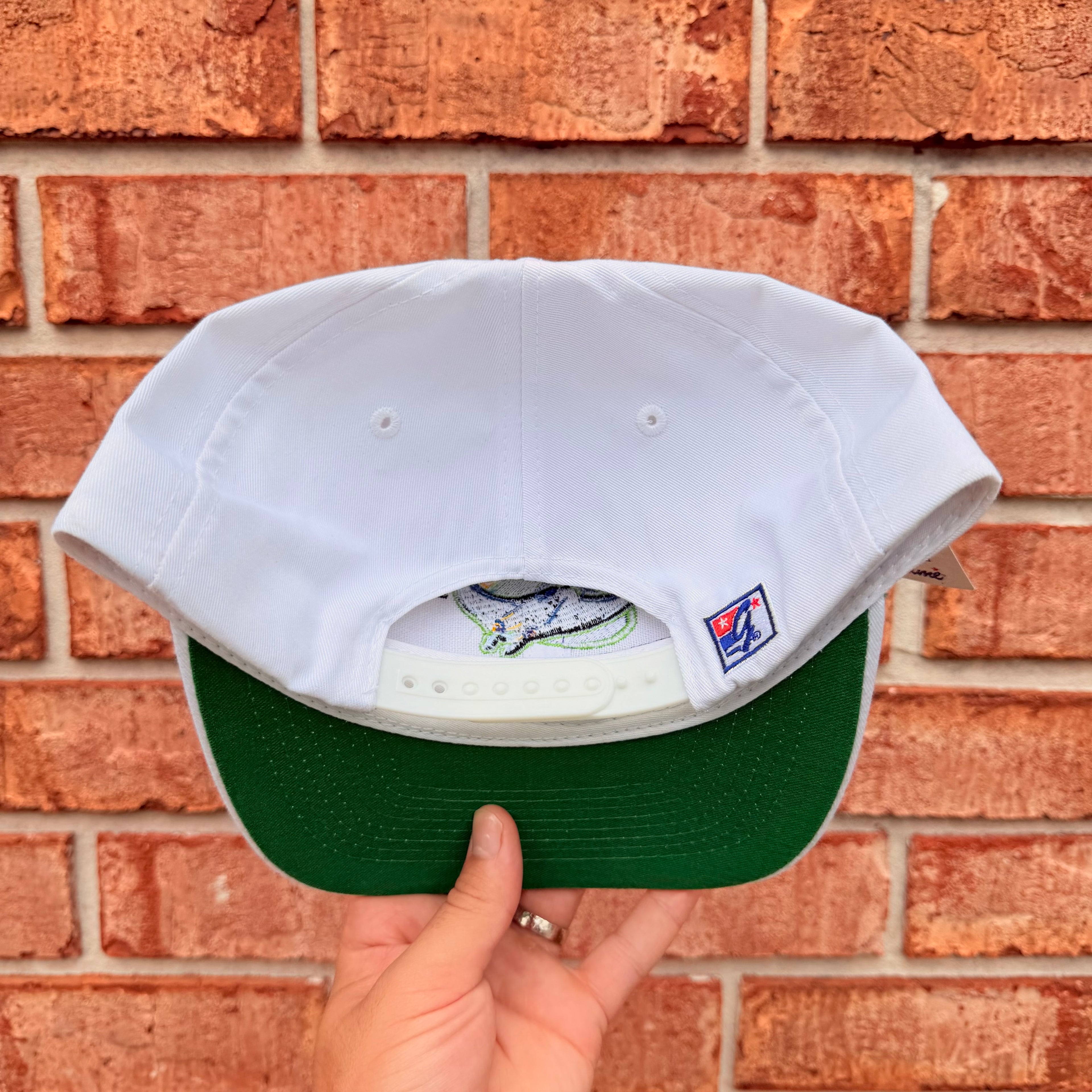 Tampa Bay Devil Rays Hat
