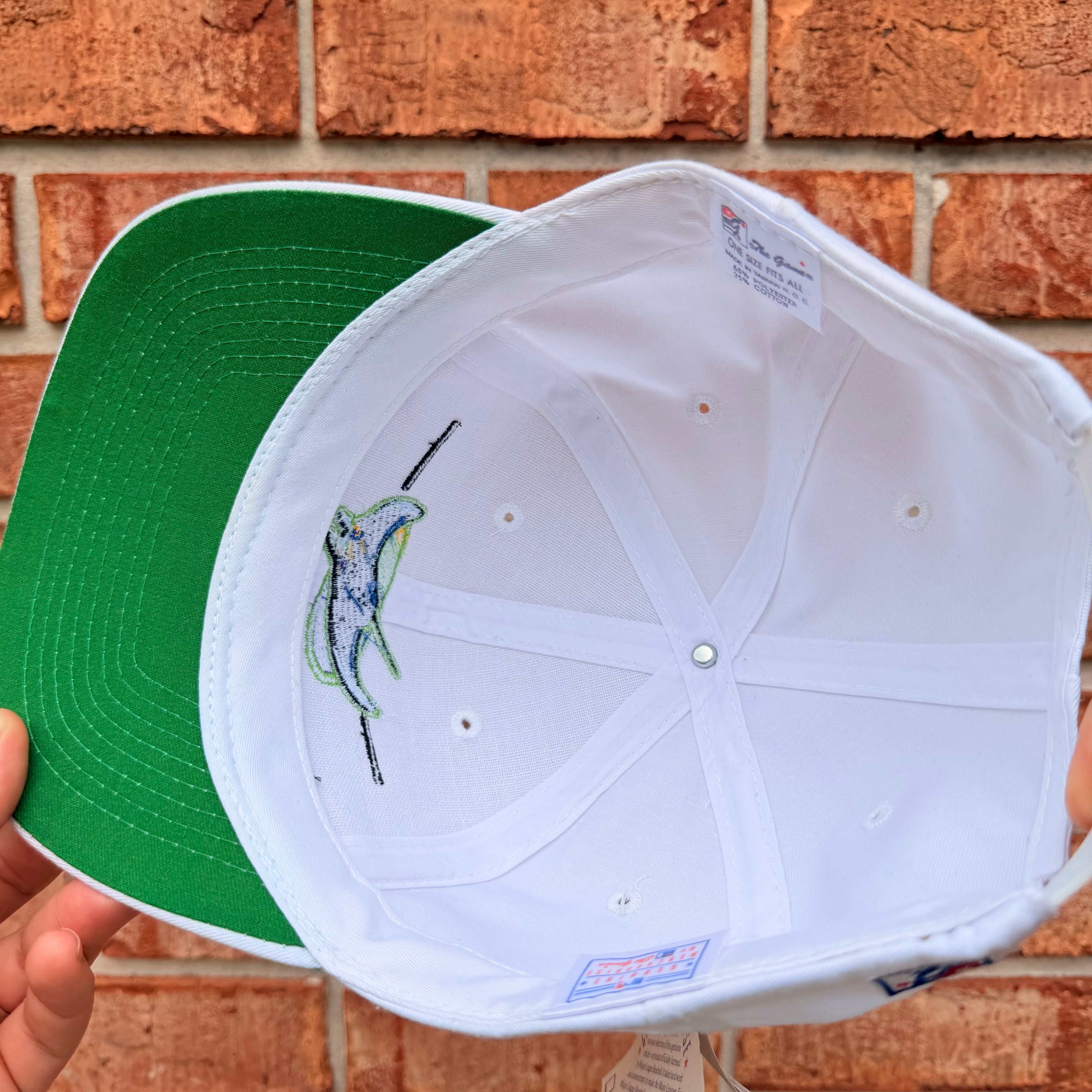 Tampa Bay Devil Rays Hat