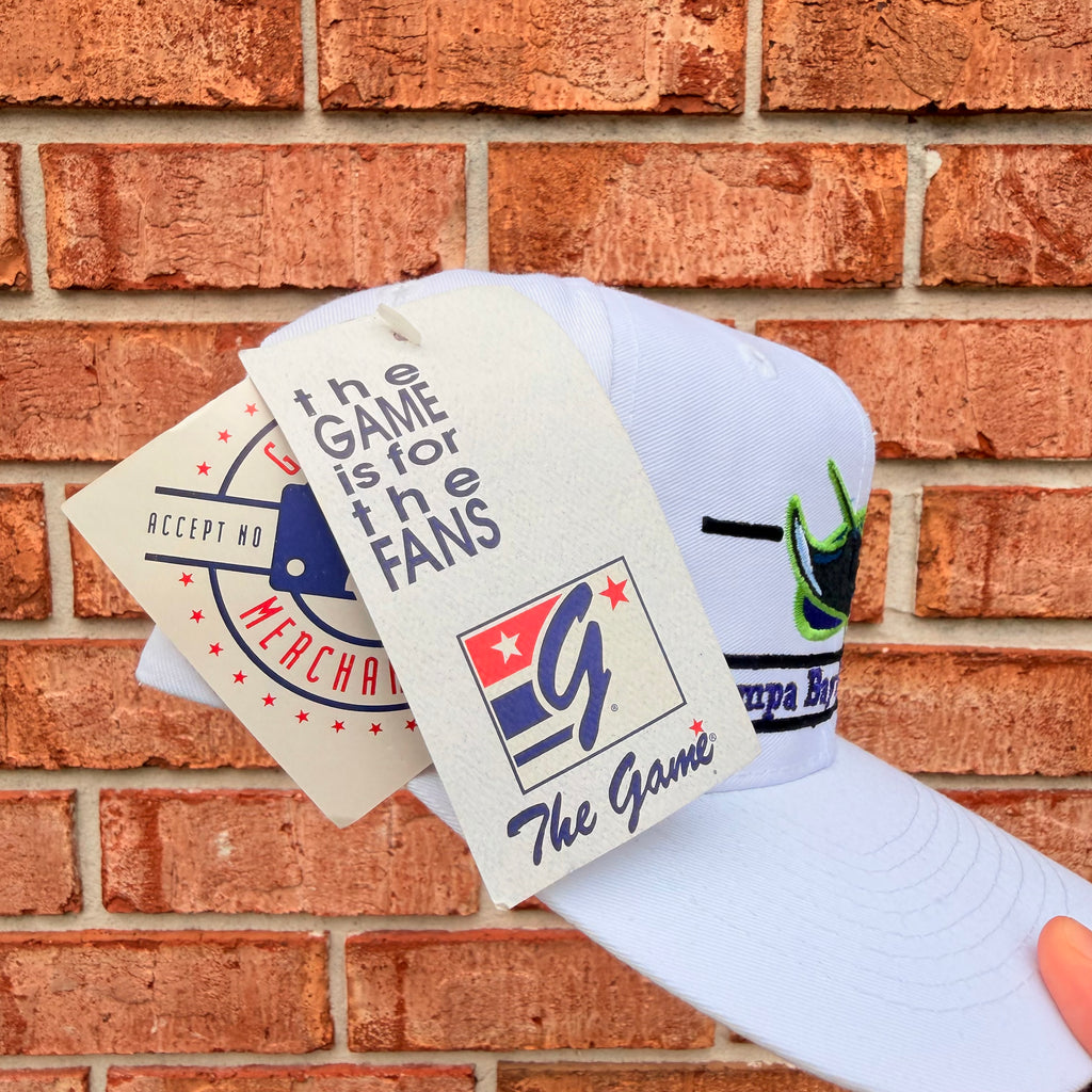 Tampa Bay Devil Rays Hat