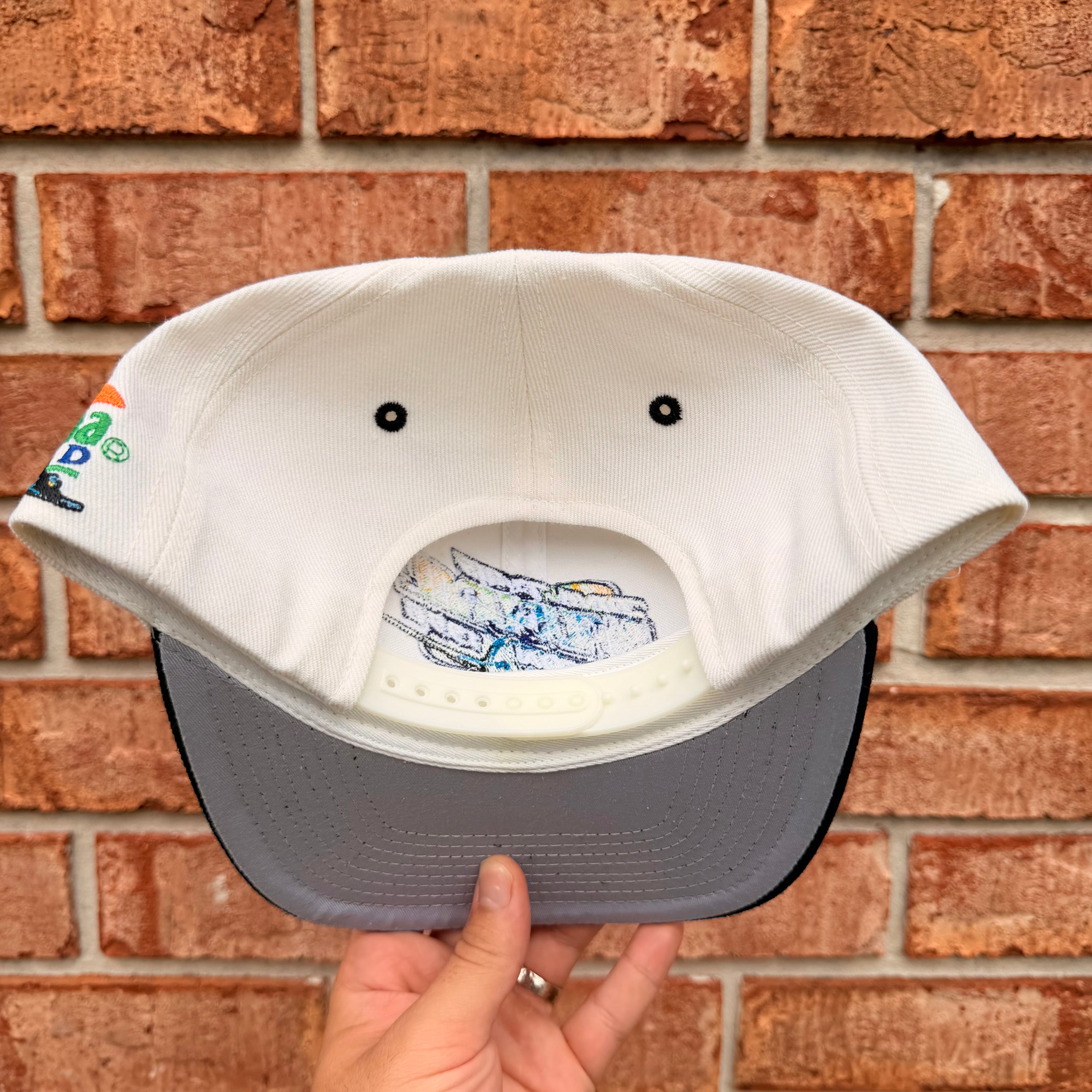 Devil Ray Inaugural Season Hat