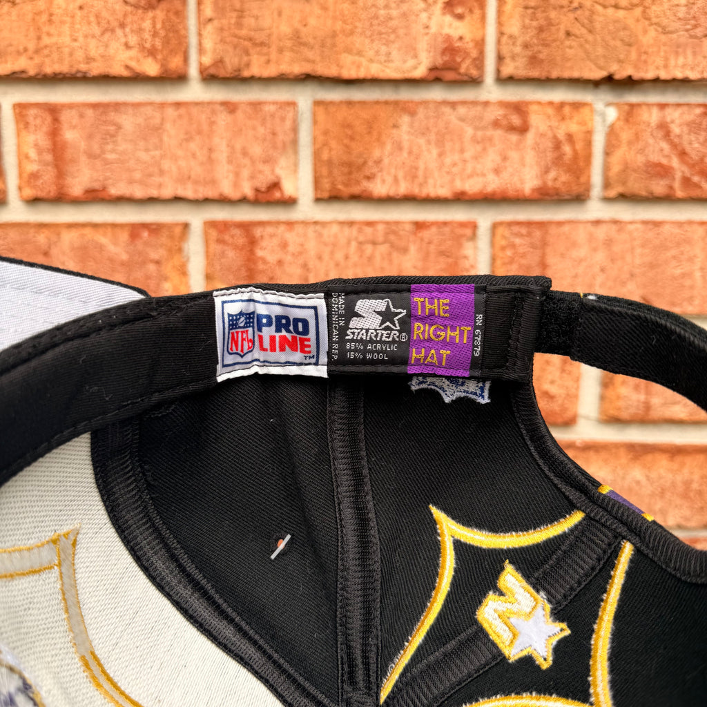 Baltimore Ravens Hat