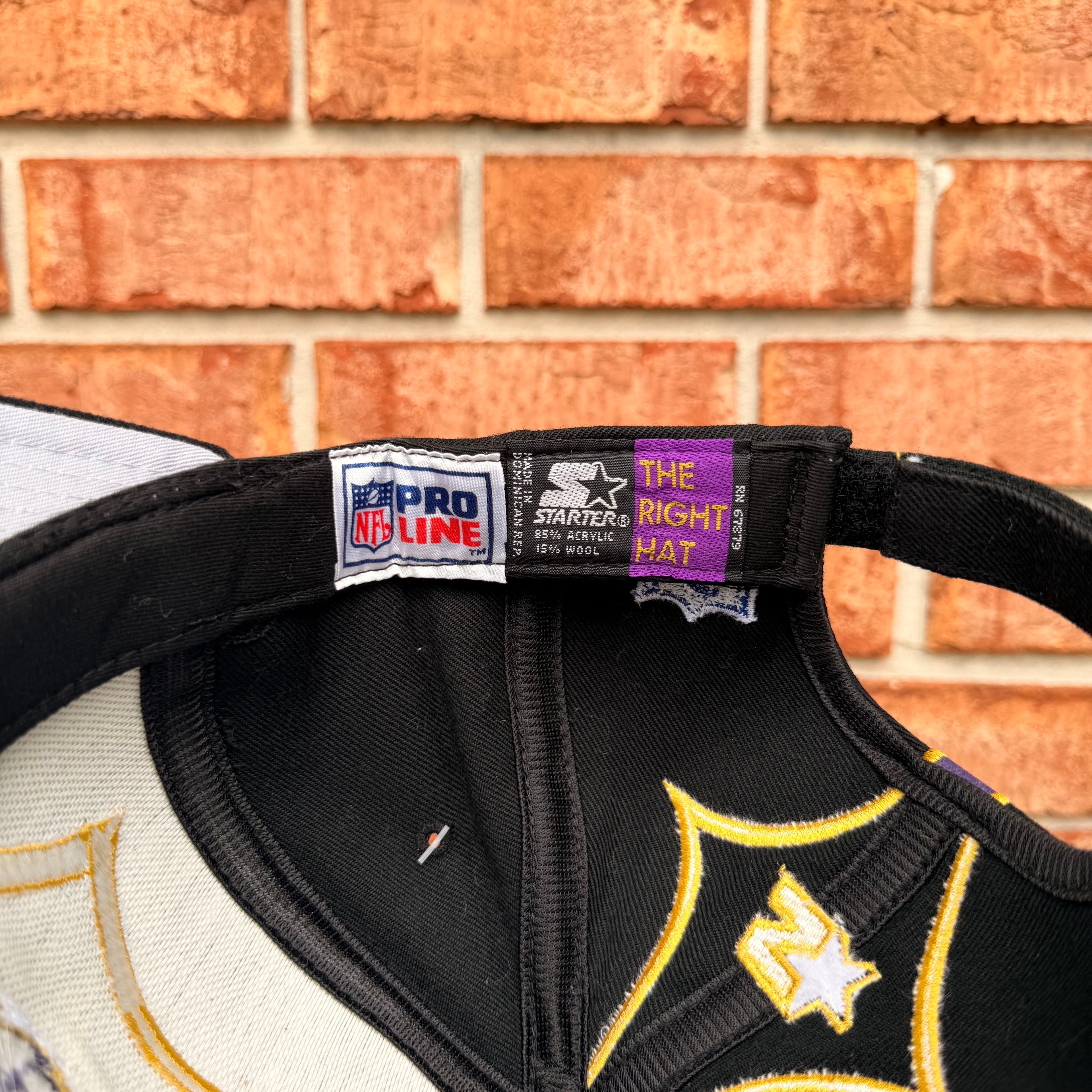 Baltimore Ravens Hat