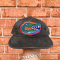 Florida Gators Hat