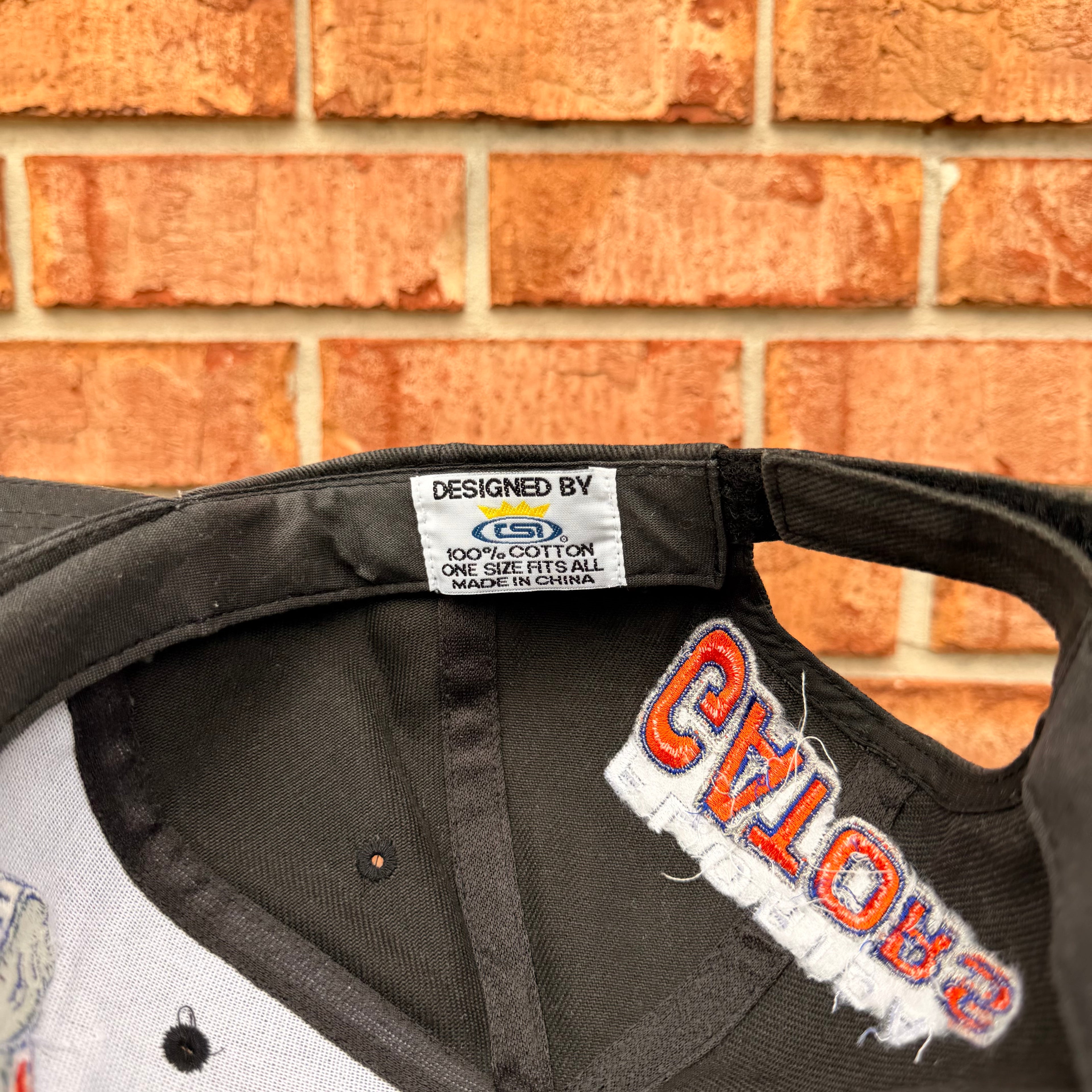Florida Gators Hat