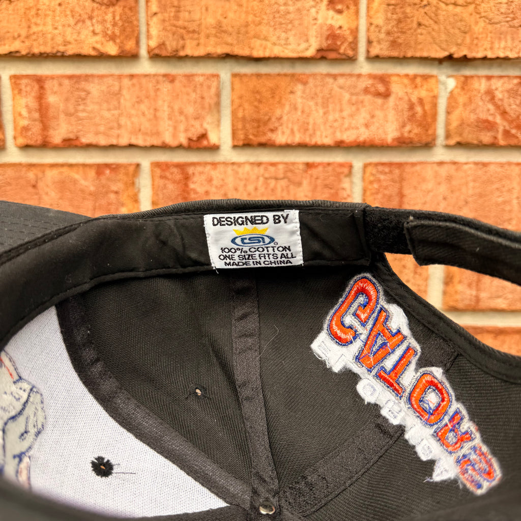 Florida Gators Hat