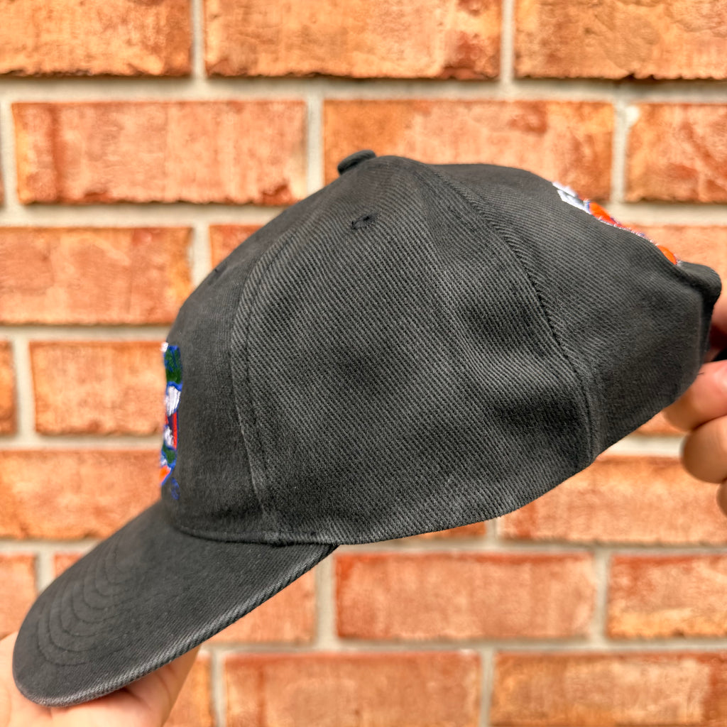 Florida Gators Hat