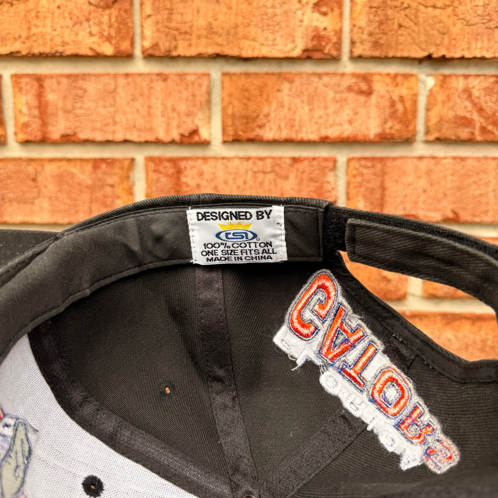Florida Gators Hat