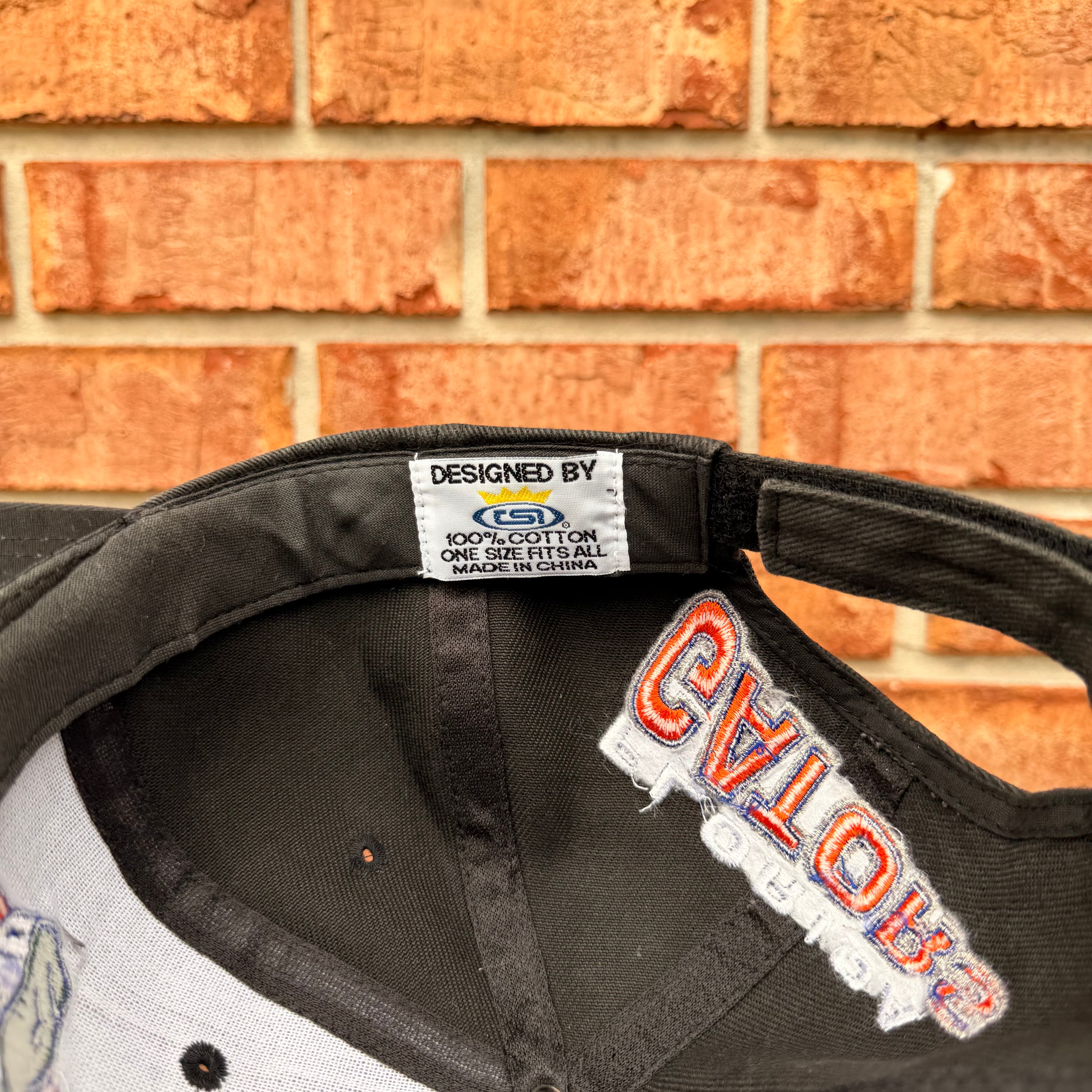 Florida Gators Hat