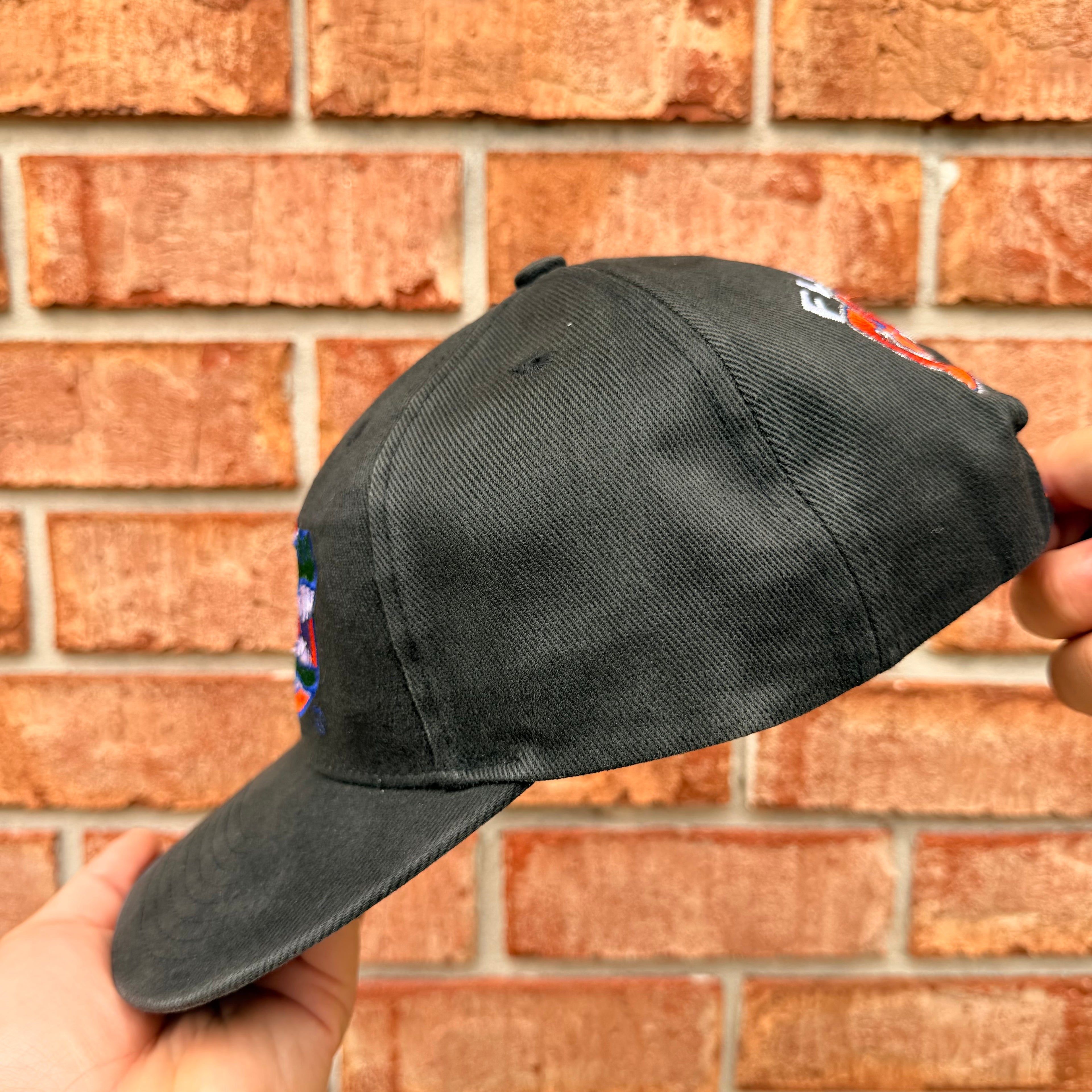 Florida Gators Hat