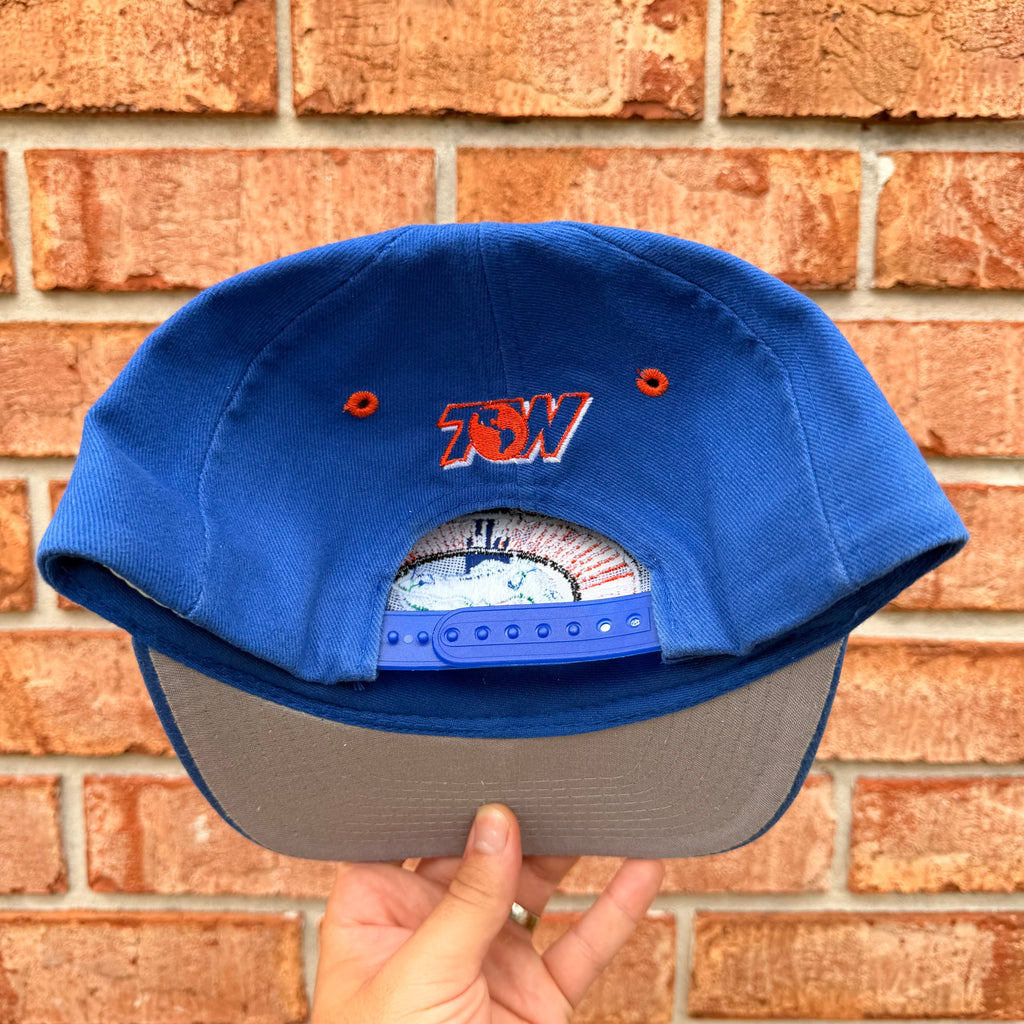 Florida Gators Hat