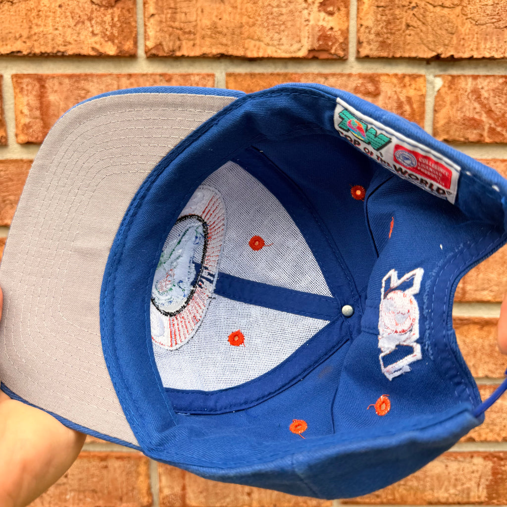 Florida Gators Hat