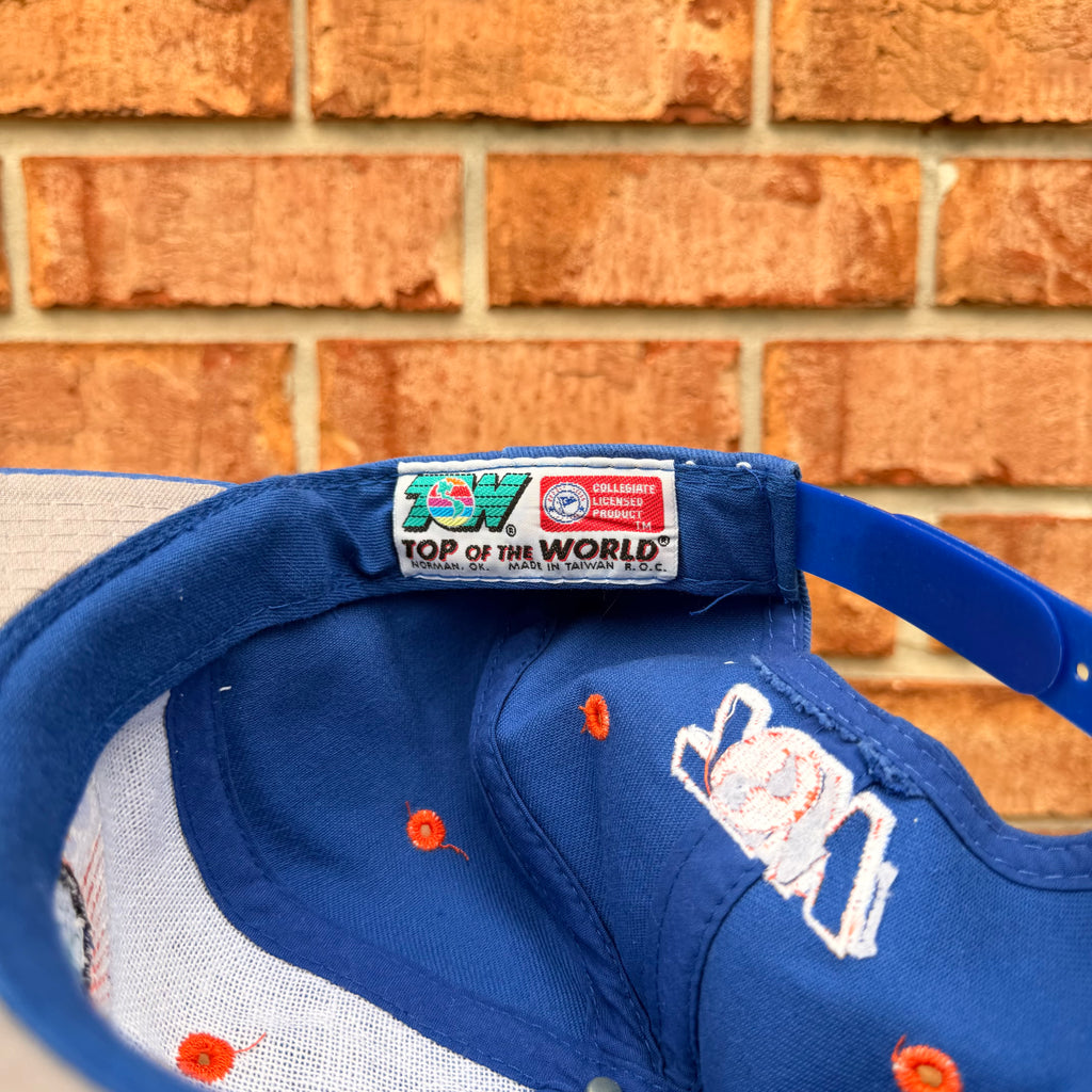 Florida Gators Hat