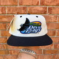 Devil Rays Logo Athletic Hat