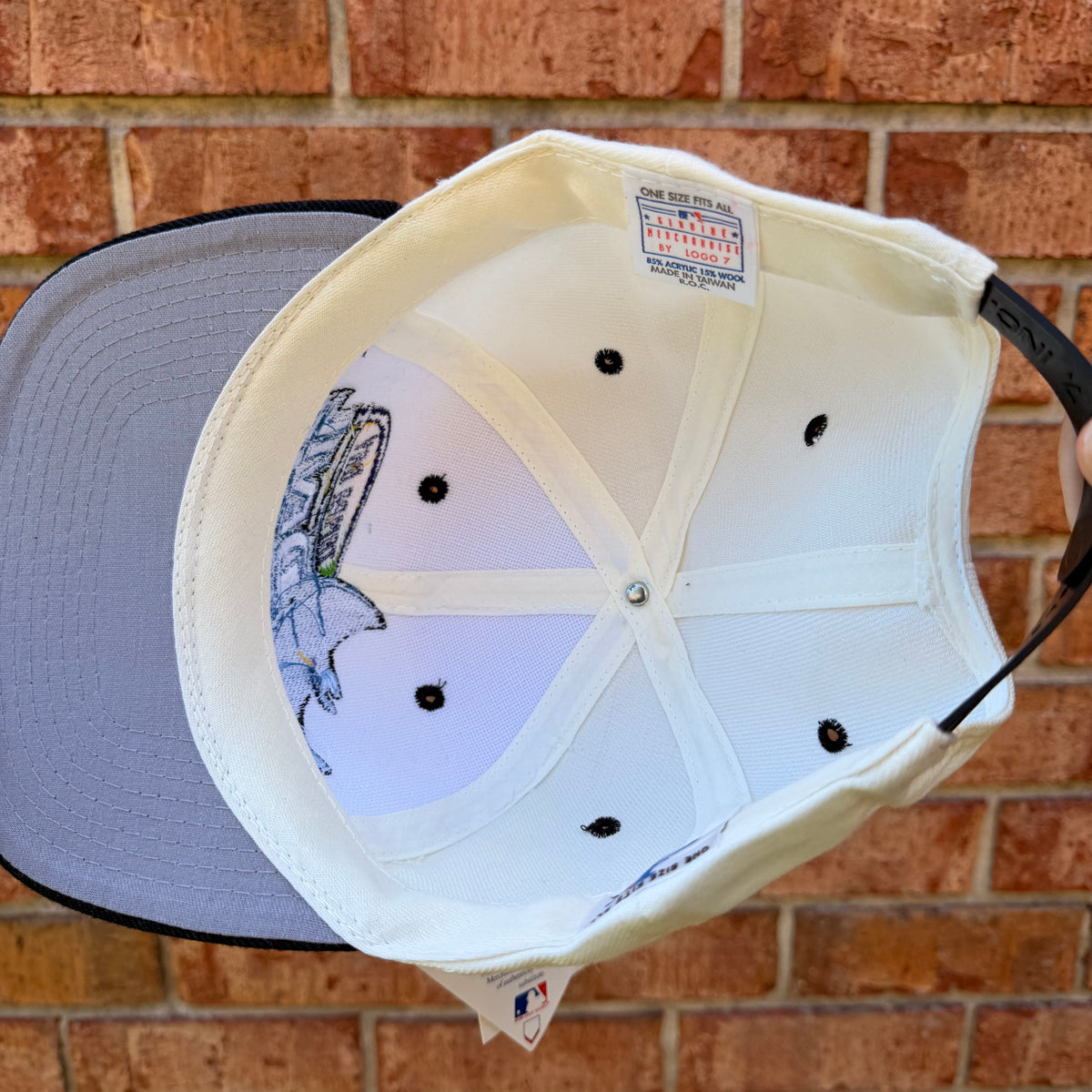 Devil Rays Logo Athletic Hat