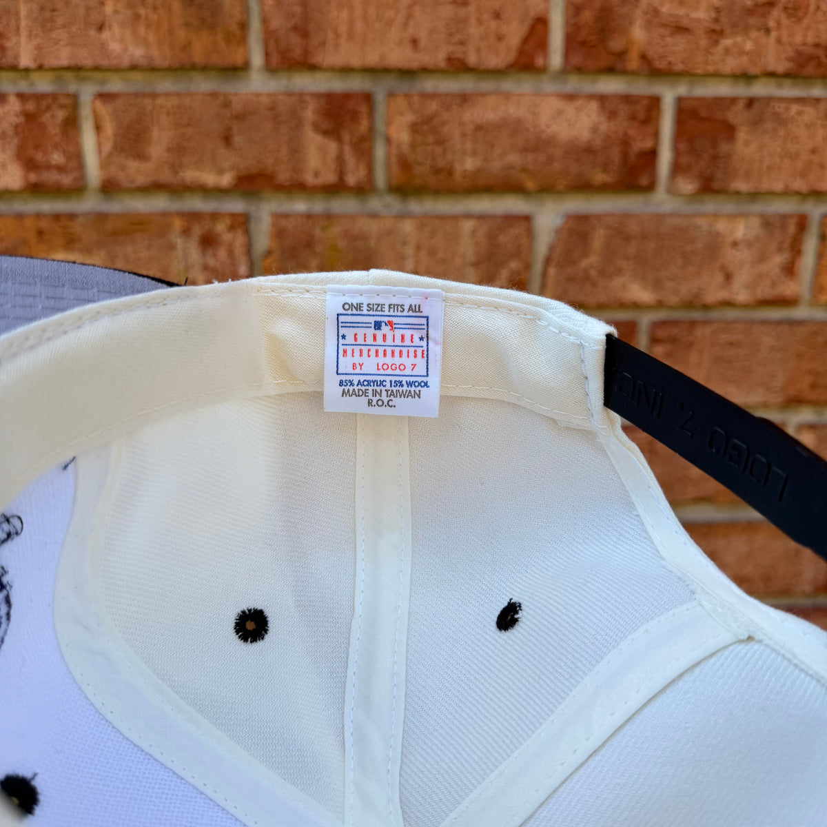 Devil Rays Logo Athletic Hat